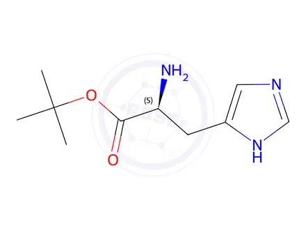 Chemical structure of Tert-butyl l-histidinate