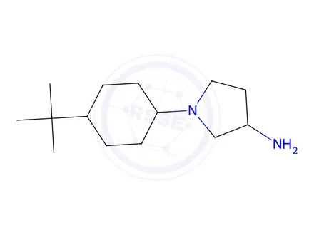 Chemical structure of 1-(4-(tert-Butyl)cyclohexyl)pyrrolidin-3-amine