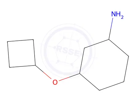 Chemical structure of 3-Cyclobutoxycyclohexan-1-amine