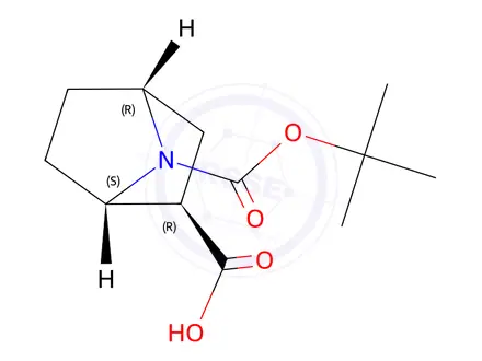 Chemical structure of (1S,2R,4R)-7-(tert-Butoxycarbonyl)-7-azabicyclo[2.2.1]heptane-2-carboxylic acid