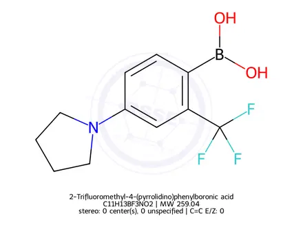 Chemical structure of 2-Trifluoromethyl-4-(pyrrolidino)phenylboronic acid