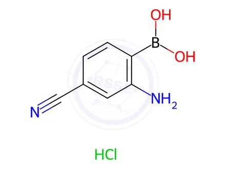 Chemical structure of 2-Amino-4-cyanophenylboronic Acid Hydrochloride