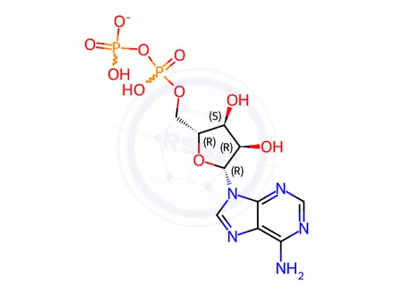 Chemical structure of Adenosine 5’-Diphosphate Potassium Salt Dihydrate