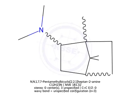 Chemical structure of N,N,1,7,7-Pentamethylbicyclo[2.2.1]heptan-2-amine