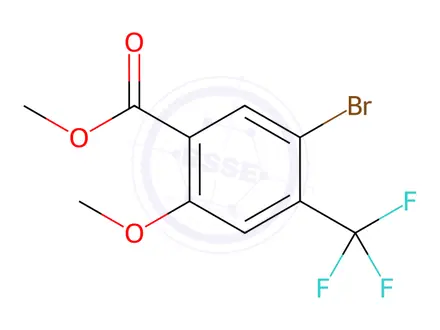 Chemical structure of methyl 5-bromo-2-methoxy-4-(trifluoromethyl)benzoate