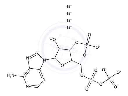 Chemical structure of 3ʹ-Adenosine phosphate 5ʹ-phosphate sulfate, tetralithium salt