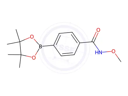 Chemical structure of 4-(O-Methylhydroxylaminocarbonyl)phenylboronic Acid Pinacol Ester
