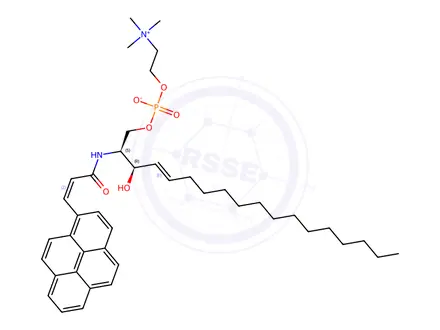Chemical structure of N-(3-(1-pyrene)propenoyl)sphingomyelin
