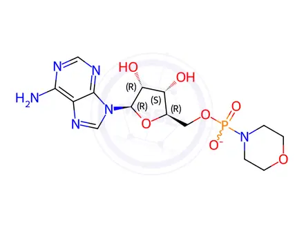 Chemical structure of Adenosine 5’-Monophosphomorpholidate 4-Morpholine-N,N’-dicyclohexylcarboxamidine salt