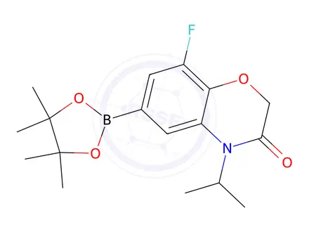 Chemical structure of 8-Fluoro-4-isopropyl-6-(4,4,5,5-tetramethyl-1,3,2-dioxaborolan-2-yl)-2H-benzo[b][1,4]oxazin-3(4H)-one