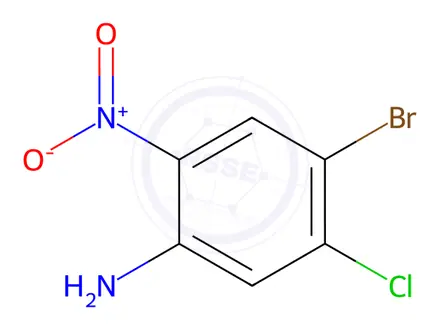 Chemical structure of 4-Bromo-5-chloro-2-nitroaniline