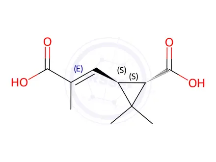 Chemical structure of (E)-trans-(+)-Chrysanthemumdicarboxylic acid