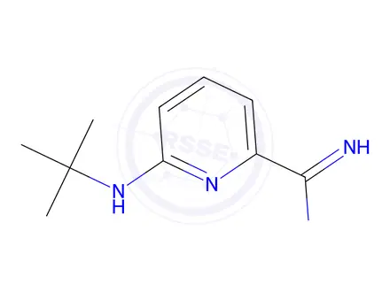 Chemical structure of 6-(Tert-butylamino)picolinimidamide
