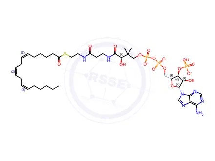 Chemical structure of 18:3 (n6) Coenzyme A