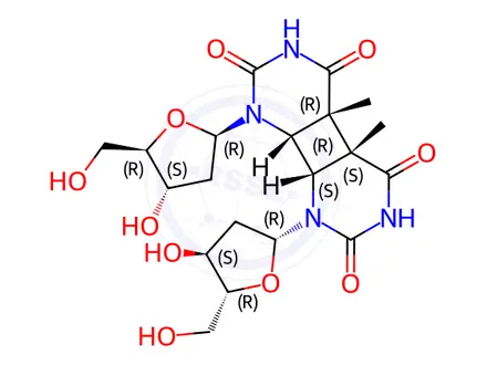 Chemical structure of cyclobutyldithymidine dimers