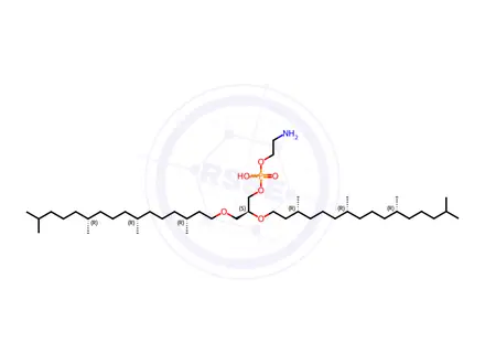Chemical structure of 4ME 16:0 Diether PE