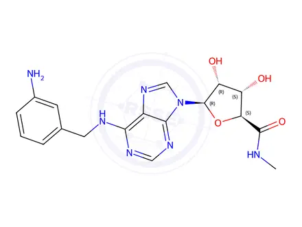 Chemical structure of N(6)-(4-aminobenzyl)adenosine-5'-N-methyluronamide