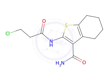 Chemical structure of 2-(3-Chloropropanamido)-4,5,6,7-tetrahydro-1-benzothiophene-3-carboxamide