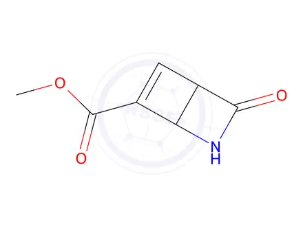 Chemical structure of 2-Azabicyclo[2.2.0]hex-5-ene-6-carboxylicacid,3-oxo-,methylester(9CI)