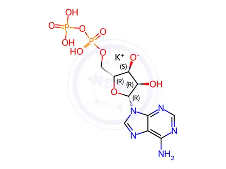 Chemical structure of Adenosine 5-Diphosphate Potassium Salt