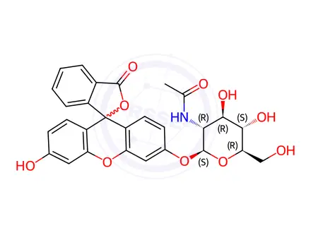 Chemical structure of Fluorescein mono-(N-acetyl-beta-D-glucosaminide) suitable for fluorescence