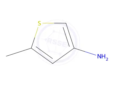 Chemical structure of 3-Amino-5-methylthiophene
