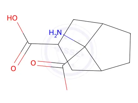 Chemical structure of 8-Aminobicyclo[3.2.1]octane-3,8-dicarboxylic acid