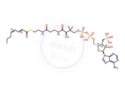 Chemical structure of Coenzyme A Impurity 24