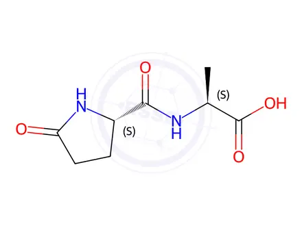 Chemical structure of L-Pyroglutamyl-L-Alanine (Pyr-Ala-OH)