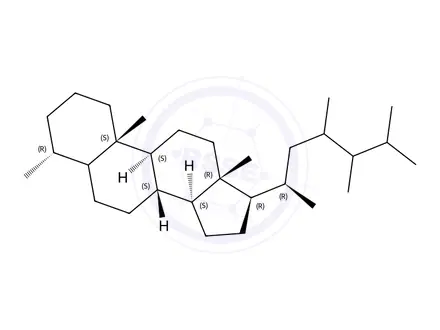 Chemical structure of 4A,23,24-TRIMETHYLCHOLESTANE