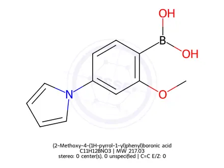 Chemical structure of (2-Methoxy-4-(1H-pyrrol-1-yl)phenyl)boronic acid