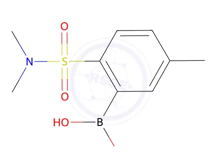 Chemical structure of 2-(Dimethylsulfamoyl)-5-methylphenylboronic acid