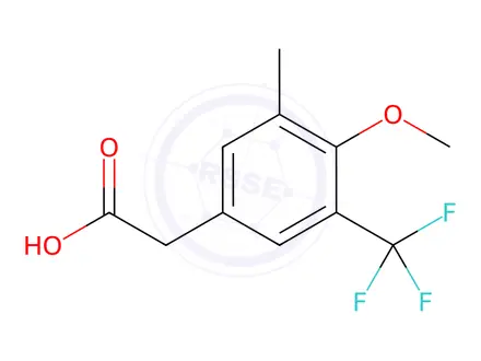 Chemical structure of 4-Methoxy-3-methyl-5-(trifluoromethyl)-phenylacetic acid