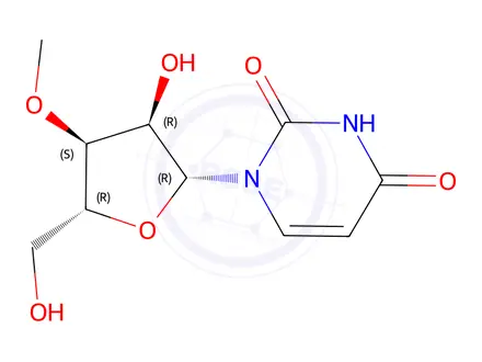 Chemical structure of 3'-O-Methyluridine