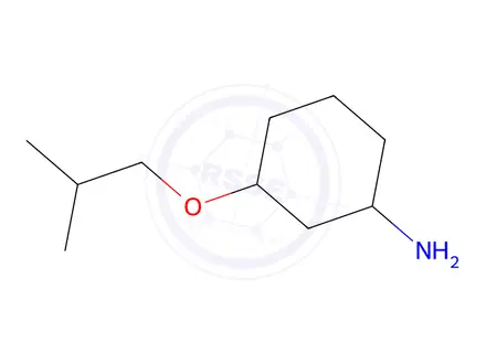 Chemical structure of 3-Isobutoxycyclohexan-1-amine
