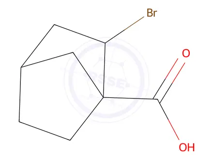 Chemical structure of 2-bromobicyclo[2.2.1]heptane-1-carboxylic Acid