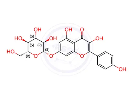 Chemical structure of Kaempferol-7-glucoside; Kaempferol-7-O-β-D-glucopyranoside