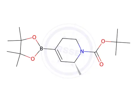 Chemical structure of tert-Butyl (R)-6-methyl-4-(4,4,5,5-tetramethyl-1,3,2-dioxaborolan-2-yl)-3,6-dihydropyridine-1(2H)-carboxylate