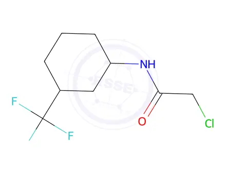 Chemical structure of 2-Chloro-N-[3-(trifluoromethyl)cyclohexyl]acetamide