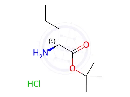 Chemical structure of L-Norvaline tert-butyl ester hydrochloride