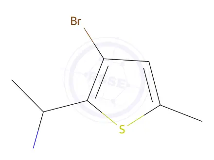 Chemical structure of 1-(3-Bromo-5-methylthiophen-2-yl)ethan-1-amine