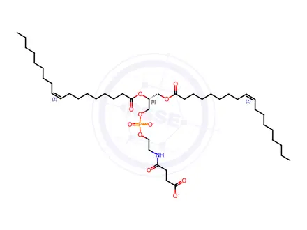Chemical structure of 18:1 Succinyl PE