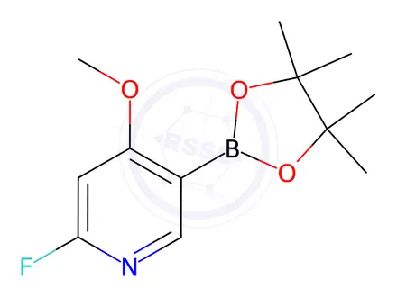 Chemical structure of 2-fluoro-4-methoxy-5-(4,4,5,5-tetramethyl-1,3,2-dioxaborolan-2-yl)pyridine