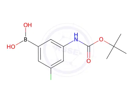 Chemical structure of (3-{[(tert-Butoxy)carbonyl]amino}-5-chlorophenyl)boronic acid