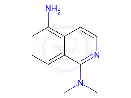 Chemical structure of N1,N1-dimethylisoquinoline-1,5-diamine