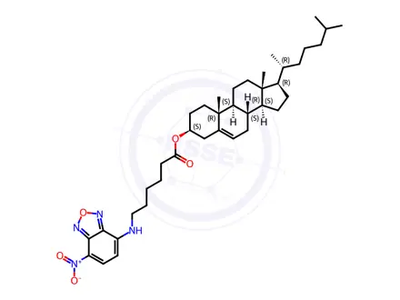Chemical structure of NBD-6 Cholesterol