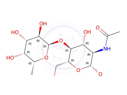 Chemical structure of methyl fucopyranosyl(1-4)-2-acetamido-2-deoxyglucopyranoside