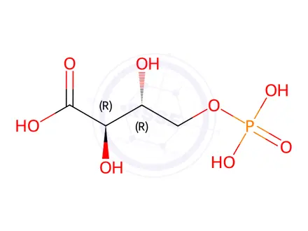 Chemical structure of 4-Phospho D-erythronate