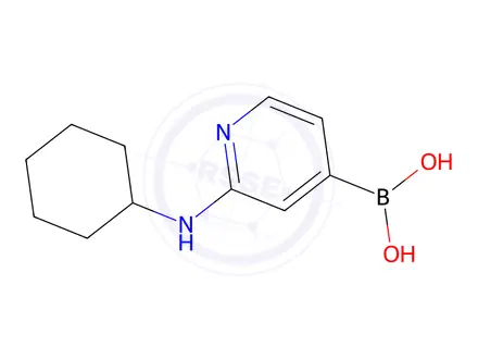 Chemical structure of (2-(Cyclohexylamino)pyridin-4-yl)boronic acid