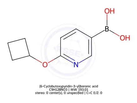 Chemical structure of (6-Cyclobutoxypyridin-3-yl)boronic acid